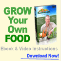 Food4Wealth